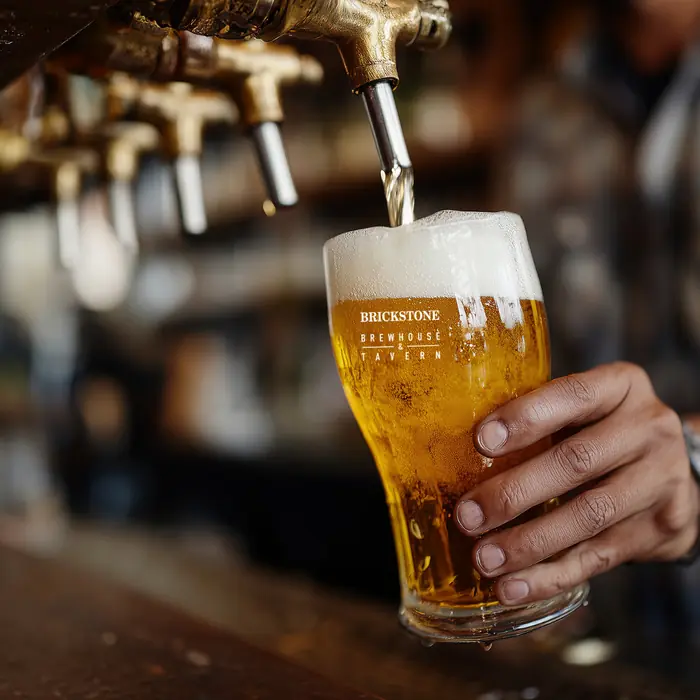 A bartender pouring a fresh draft beer